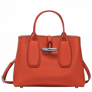 Longchamp Le Roseau M Handbag - Leather Orange | UTKS18379