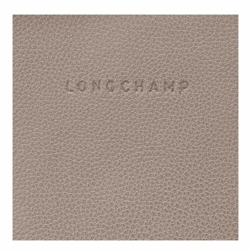 Longchamp Le FOULONNÉ Backpack - Leather Grey | LQCF31708