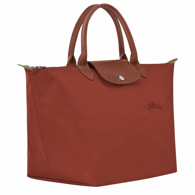 Longchamp Le Pliage Green M Handbag - Recycled canvas Brown | EDTW92814